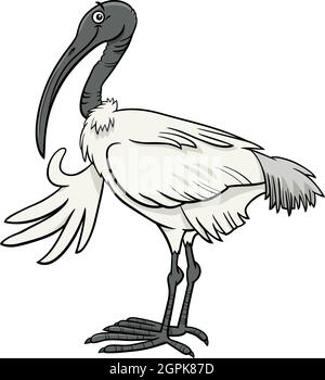 fumetto ibis fumetto animalier Illustrazione Vettoriale