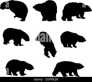 Set di silhouette di orso Illustrazione Vettoriale