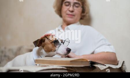 Donna caucasica anziana che legge un libro con un cane intelligente jack russell terrier indossare occhiali e una cravatta sul divano Foto Stock