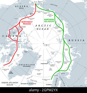 Rotte marittime dell'Oceano Artico, rotte marittime artiche, mappa politica grigia Illustrazione Vettoriale