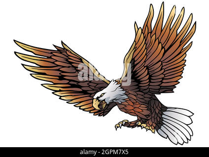 Flying Bald Eagle Illustrazione Illustrazione Vettoriale