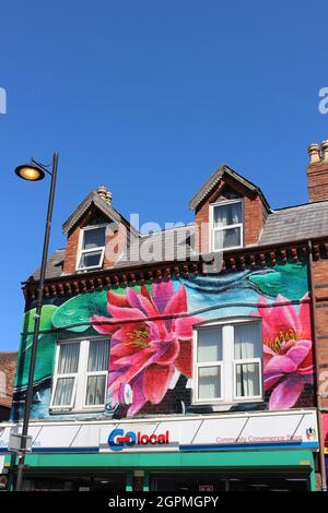 Arte floreale colorata sul Community Store a New Ferry, Merseyside dell'artista Paul Curtis Foto Stock