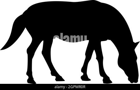 Silhouette cavallo cavallo cavallo equestre stallone purosangue nero mustang colore vettore illustrazione piatta immagine stile Illustrazione Vettoriale