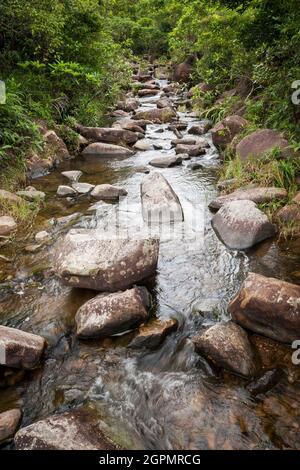 Un'insenatura rocciosa nel Sai Kung West Country Park, New Territories, Hong Kong Foto Stock