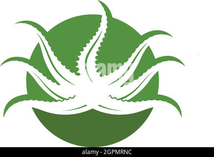 logo aloevera icona disegno vettoriale Illustrazione Vettoriale