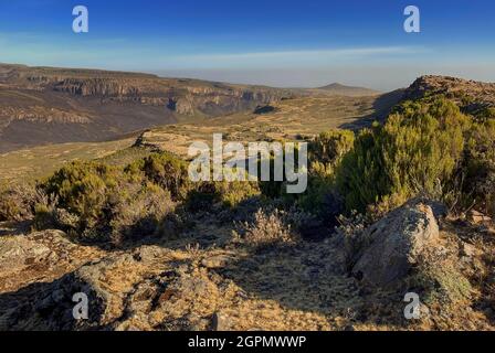 Bale Mountains – bellissimo paesaggio montano unico dalla Grande Rift Valley etiope, Etiopia. Foto Stock