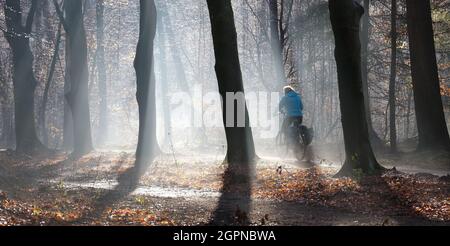 la donna corre in bicicletta in pista nella foresta invernale contro bello luce solare in condizioni di nebbia Foto Stock