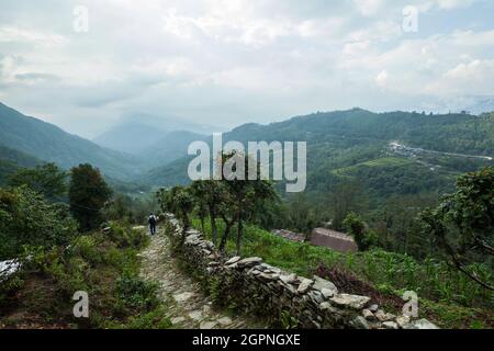 POKHARA, NEPAL - 31 MAGGIO 2016: Un uomo non identificato cammina sul sentiero di pietra attraverso il villaggio sul percorso di trekking a Machapuchare Foto Stock