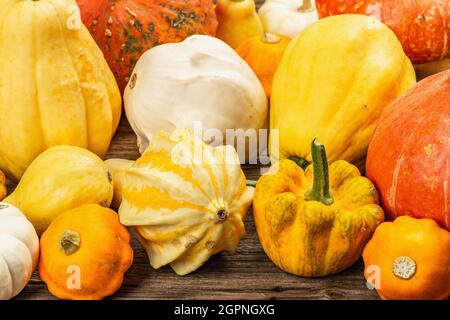 Raccolta di varie zucche mature. Sfondo festivo colorato, giorno del Ringraziamento o di Halloween. Vecchio legno assi sfondo Foto Stock
