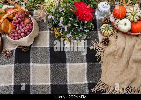 picnic nella foresta autunnale con fiori, zucche, mele. vacanza autunnale Foto Stock