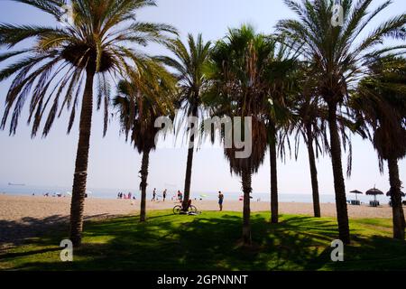 Paseo Maritimo Antonio Banderas, Malaga, Andalucía, Costa del Sol, Spagna Foto Stock