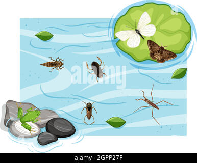 Vista dall'alto di insetti acquatici nel laghetto Illustrazione Vettoriale