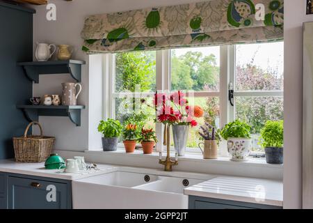 Fiori recisi sul davanzale della cucina, Hampshire colonica, Regno Unito Foto Stock
