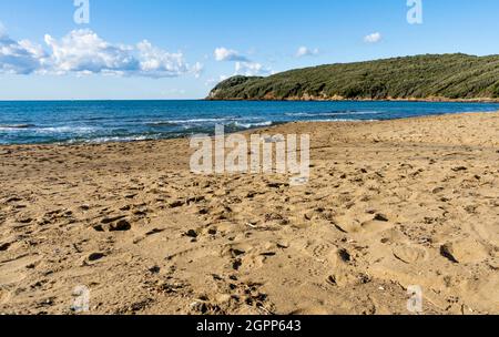 La spiaggia sabbiosa del Golfo di Baratti, nel comune di Piombino, lungo la Costa degli Etruschi, provincia di Livorno, Toscana, Italia Foto Stock