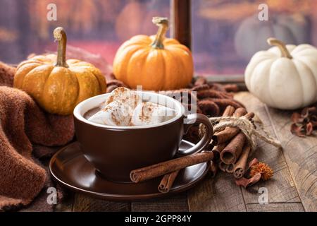 Tazza di cioccolata calda con marshmallows e cannella con sfondo autunnale Foto Stock