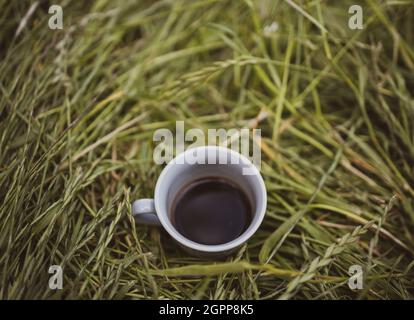 Vista ad angolo alto della tazza di caffè sopra il campo erboso Foto Stock