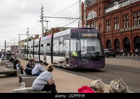 Bombardier Flexity 2 tram elettrico numero 013 che passa la sala da ballo Tower a Blackpool sulla passeggiata sul lungomare della costa britannica di Fylde Foto Stock