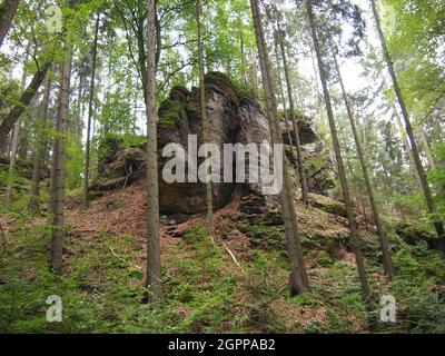 Area protetta del paesaggio Labské pískovce (Repubblica Ceca) Foto Stock