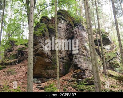 Area protetta del paesaggio Labské pískovce (Repubblica Ceca) Foto Stock