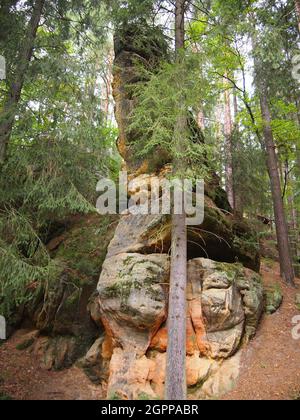 Area protetta del paesaggio Labské pískovce (Repubblica Ceca) Foto Stock