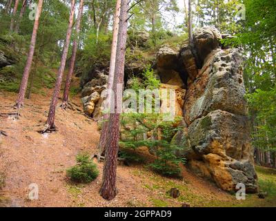 Area protetta del paesaggio Labské pískovce (Repubblica Ceca) Foto Stock