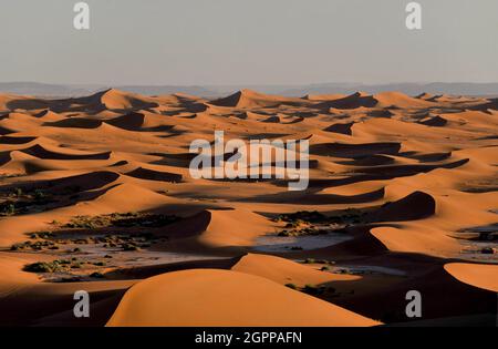 Marocco, Erg Chigaga sul deserto del Sahara Foto Stock