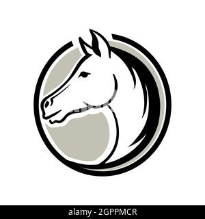 Horse per logo. Testa di cavallo continua una linea di disegno arte, carta, banner, poster, volantino. Vettore, illustrazione Illustrazione Vettoriale