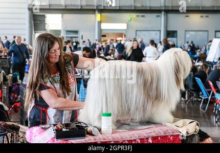 Brno, Repubblica Ceca. 30 settembre 2021. Il World Dog Show si è tenuto a Brno, Repubblica Ceca, giovedì 30 settembre 2021. Credit: Monika Hlavacova/CTK Photo/Alamy Live News Foto Stock