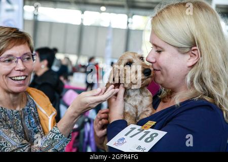 Brno, Repubblica Ceca. 30 settembre 2021. Il World Dog Show si è tenuto a Brno, Repubblica Ceca, giovedì 30 settembre 2021. Credit: Monika Hlavacova/CTK Photo/Alamy Live News Foto Stock