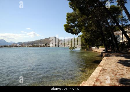 L'area della spiaggia all'estremità nord di Port de Pollenca, conosciuta come Pine Walk, è tranquilla, residenziale e un mondo lontano dalla spiaggia principale. Foto Stock