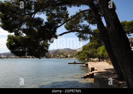 L'area della spiaggia all'estremità nord di Port de Pollenca, conosciuta come Pine Walk, è tranquilla, residenziale e un mondo lontano dalla spiaggia principale. Foto Stock