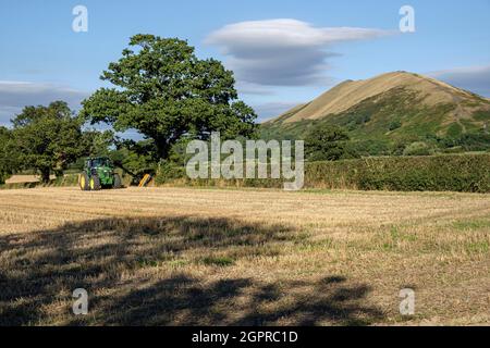 Un agricoltore che taglia una siepe di campo e una vista sul Lawley, vicino a tutto Stretton, Shropshire Foto Stock