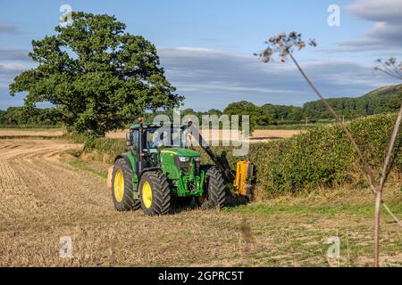 Un coltivatore che taglia una siepe di campo, vicino a tutto Stretton, Shropshire Foto Stock