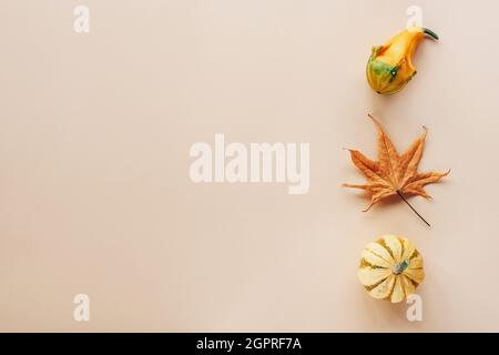 Zucche gialle e foglie autunnali su sfondo beige chiaro con spazio copia. Concetto di ringraziamento. Vista dall'alto, piatto. Foto Stock