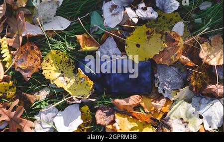 Telefono in foglie. Telefono cellulare perso caduto da una tasca donna nella foresta. Smartphone giacente a terra nelle foglie. Concetto di telefono perso, dati Foto Stock