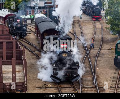 Incontro con la locomotiva a vapore presso il Museo ferroviario di Odense (Jernbanemuseum) a Odense, Danimarca. A causa del ritardo di un anno di Corona, l'evento (Dampdage 2021) ha commemorato la fine dell'operazione danese della locomotiva a vapore mezzo secolo fa nel 1970 Foto Stock