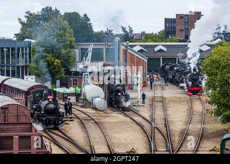 Incontro con la locomotiva a vapore presso il Museo ferroviario di Odense (Jernbanemuseum) a Odense, Danimarca. A causa del ritardo di un anno di Corona, l'evento (Dampdage 2021) ha commemorato la fine dell'operazione danese della locomotiva a vapore mezzo secolo fa nel 1970 Foto Stock