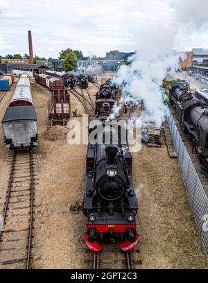 Incontro con la locomotiva a vapore presso il Museo ferroviario di Odense (Jernbanemuseum) a Odense, Danimarca. A causa del ritardo di un anno di Corona, l'evento (Dampdage 2021) ha commemorato la fine dell'operazione danese della locomotiva a vapore mezzo secolo fa nel 1970 Foto Stock