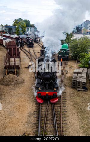 Incontro con la locomotiva a vapore presso il Museo ferroviario di Odense (Jernbanemuseum) a Odense, Danimarca. A causa del ritardo di un anno di Corona, l'evento (Dampdage 2021) ha commemorato la fine dell'operazione danese della locomotiva a vapore mezzo secolo fa nel 1970 Foto Stock