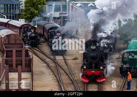 Incontro con la locomotiva a vapore presso il Museo ferroviario di Odense (Jernbanemuseum) a Odense, Danimarca. A causa del ritardo di un anno di Corona, l'evento (Dampdage 2021) ha commemorato la fine dell'operazione danese della locomotiva a vapore mezzo secolo fa nel 1970 Foto Stock