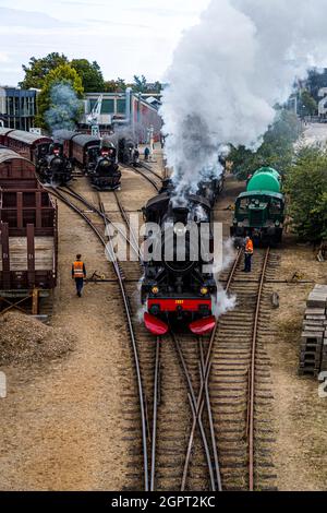 Incontro con la locomotiva a vapore presso il Museo ferroviario di Odense (Jernbanemuseum) a Odense, Danimarca. A causa del ritardo di un anno di Corona, l'evento (Dampdage 2021) ha commemorato la fine dell'operazione danese della locomotiva a vapore mezzo secolo fa nel 1970 Foto Stock