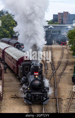 Incontro con la locomotiva a vapore presso il Museo ferroviario di Odense (Jernbanemuseum) a Odense, Danimarca. A causa del ritardo di un anno di Corona, l'evento (Dampdage 2021) ha commemorato la fine dell'operazione danese della locomotiva a vapore mezzo secolo fa nel 1970 Foto Stock