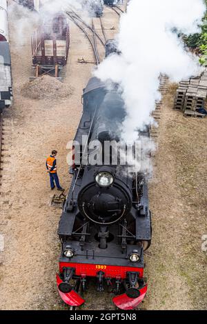 Incontro con la locomotiva a vapore presso il Museo ferroviario di Odense (Jernbanemuseum) a Odense, Danimarca. A causa del ritardo di un anno di Corona, l'evento (Dampdage 2021) ha commemorato la fine dell'operazione danese della locomotiva a vapore mezzo secolo fa nel 1970 Foto Stock