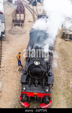 Incontro con la locomotiva a vapore presso il Museo ferroviario di Odense (Jernbanemuseum) a Odense, Danimarca. A causa del ritardo di un anno di Corona, l'evento (Dampdage 2021) ha commemorato la fine dell'operazione danese della locomotiva a vapore mezzo secolo fa nel 1970 Foto Stock