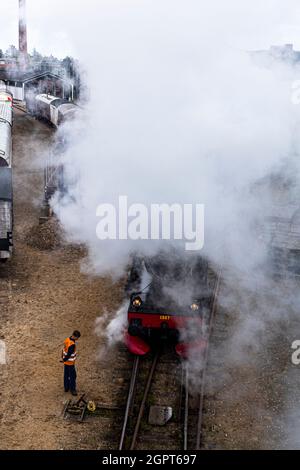 Incontro con la locomotiva a vapore presso il Museo ferroviario di Odense (Jernbanemuseum) a Odense, Danimarca. A causa del ritardo di un anno di Corona, l'evento (Dampdage 2021) ha commemorato la fine dell'operazione danese della locomotiva a vapore mezzo secolo fa nel 1970 Foto Stock