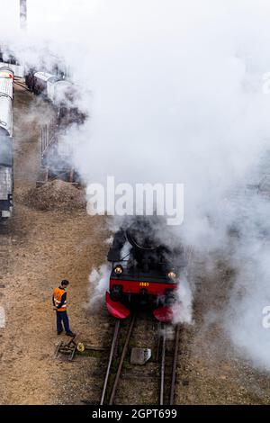 Incontro con la locomotiva a vapore presso il Museo ferroviario di Odense (Jernbanemuseum) a Odense, Danimarca. A causa del ritardo di un anno di Corona, l'evento (Dampdage 2021) ha commemorato la fine dell'operazione danese della locomotiva a vapore mezzo secolo fa nel 1970 Foto Stock