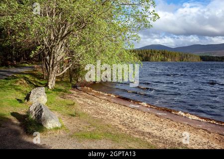 Acqua instabile sul Loch Garten in Scozia Foto Stock