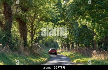 Hampshire, Inghilterra, Regno Unito. 2021. Nel tardo pomeriggio la luce del sole splende attraverso gli alberi su una corsia di campagna durante l'inizio dell'autunno in Hampshire, Regno Unito, automobile che guida lungo t Foto Stock