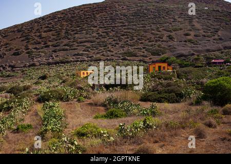 Vista caratteristica di Linosa con le tipiche case colorate e le pricly pere nel giardino, Linosa. Sicilia Foto Stock