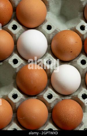 Primo piano di uova marroni e bianche ordinate in una scatola Foto Stock